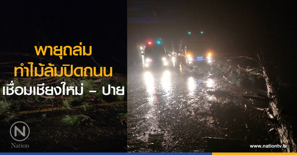 พายุถล่ม
ทำไม้ล้มปิดถนน
เชื่อมเชียงใหม่ – ปาย