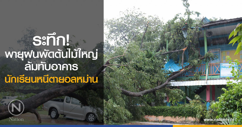 ระทึก! พายุฝนพัดต้นไม้ใหญ่
ล้มทับอาคาร
นักเรียนหนีตายอลหม่าน