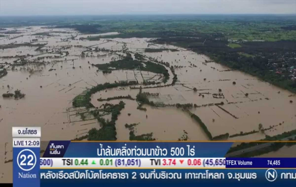 น้ำล้นตลิ่งท่วมนาข้าว 500 ไร่ น้ำล้นตลิ่งท่วมนาข้าว 500 ไร่