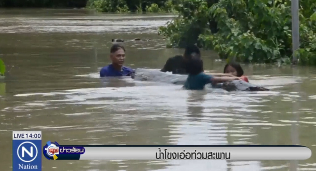 ชาวโขงเจียมเดือดร้อน หลังน้ำโขงขึ้นสูง ชาวโขงเจียมเดือดร้อน หลังน้ำโขงขึ้นสูง