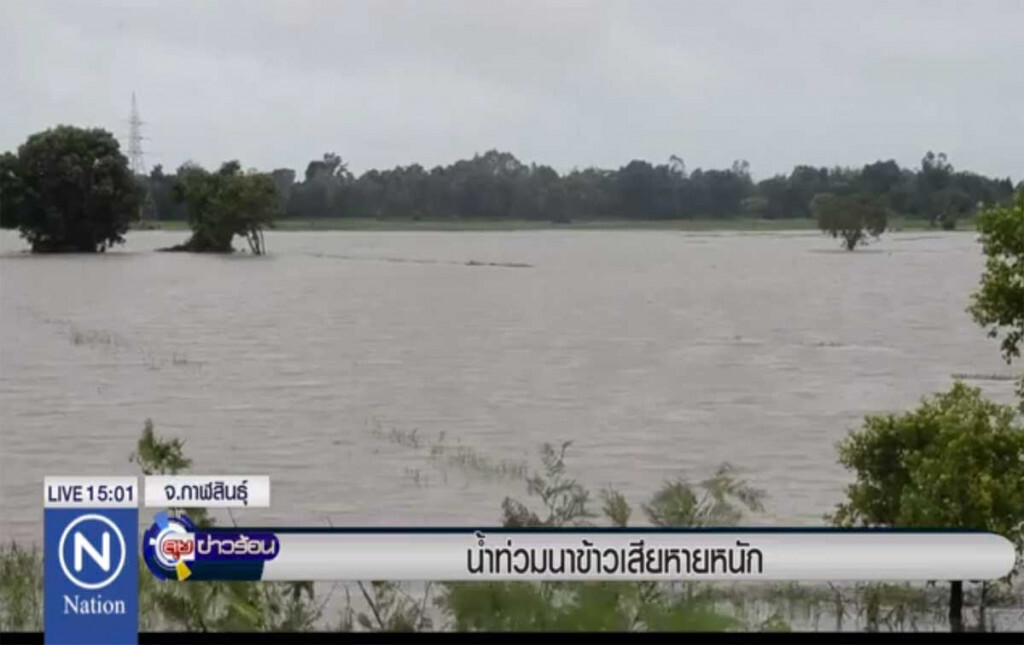 น้ำท่วมนาข้าวเสียหายหนัก น้ำท่วมนาข้าวเสียหายหนัก