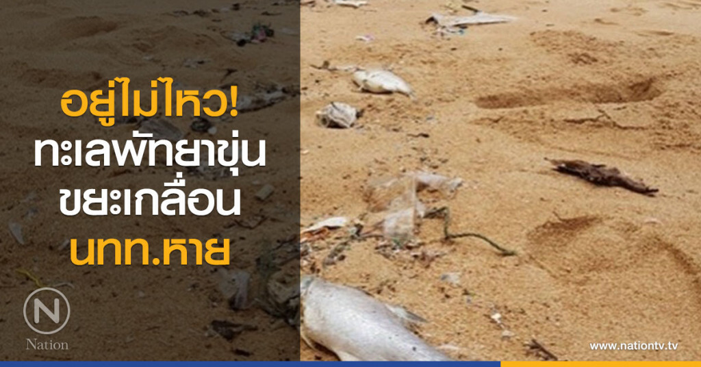 อยู่ไม่ไหว! ทะเลพัทยาขุ่น-ขยะเกลื่อน นทท.หาย อยู่ไม่ไหว! ทะเลพัทยาขุ่น-ขยะเกลื่อน นทท.หาย