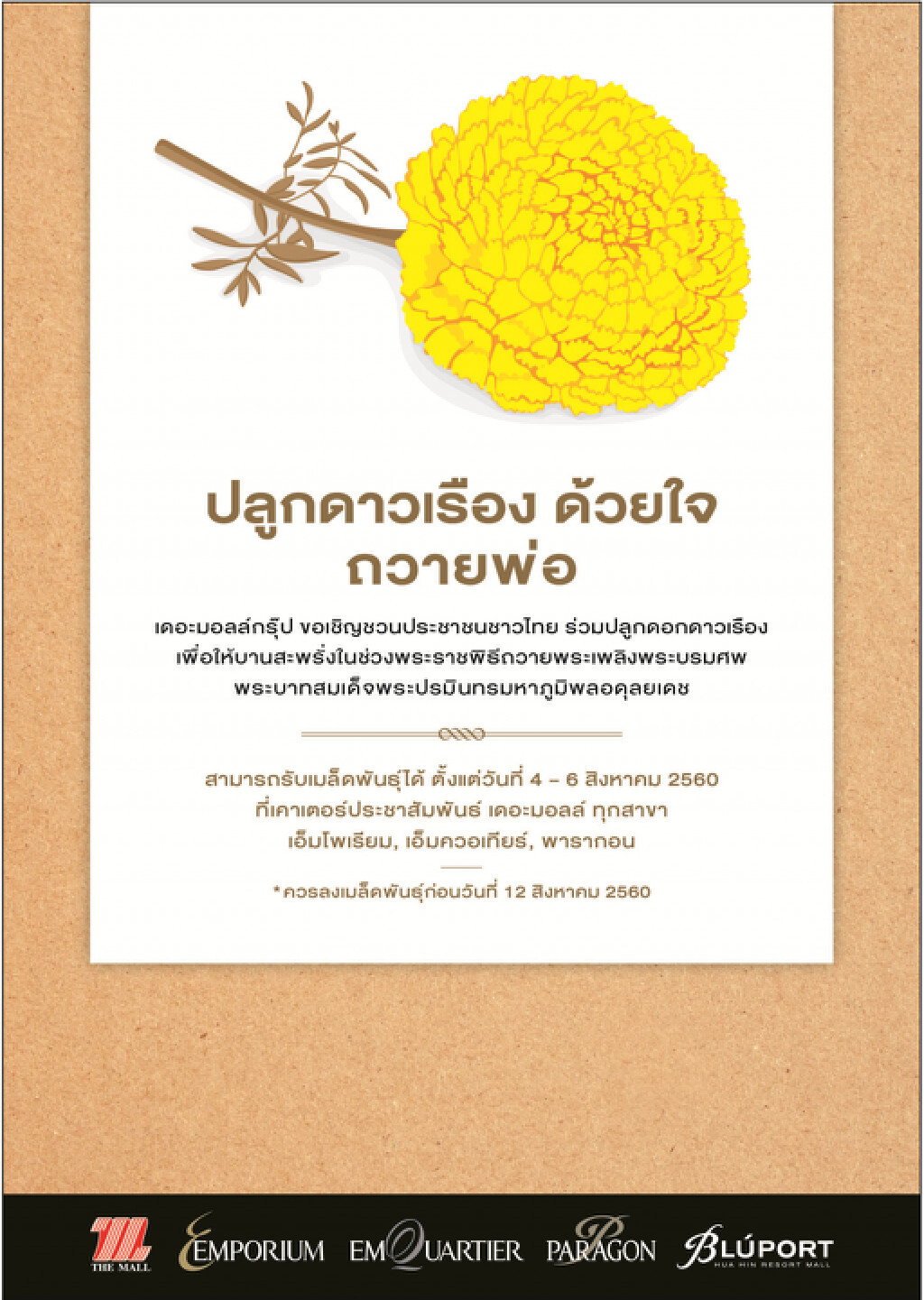 เดอะมอลล์ กรุ๊ป ชวนร่วม "ปลูกดาวเรืองด้วยใจ...ถวายพ่อ" ให้บานสะพรั่งพร้อมกันในเดือนตุลาคม
