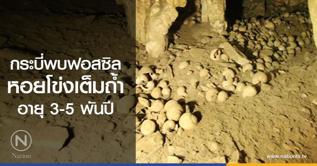 กระบี่พบฟอสซิล
หอยโข่งเต็มถ้ำ อายุ 3-5พันปี กระบี่พบฟอสซิล
หอยโข่งเต็มถ้ำ อายุ 3-5พันปี