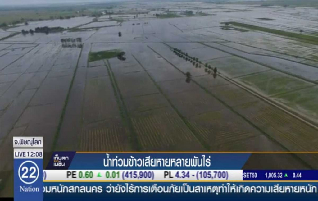 น้ำท่วมข้าวเสียหายหลายพันไร่ น้ำท่วมข้าวเสียหายหลายพันไร่
