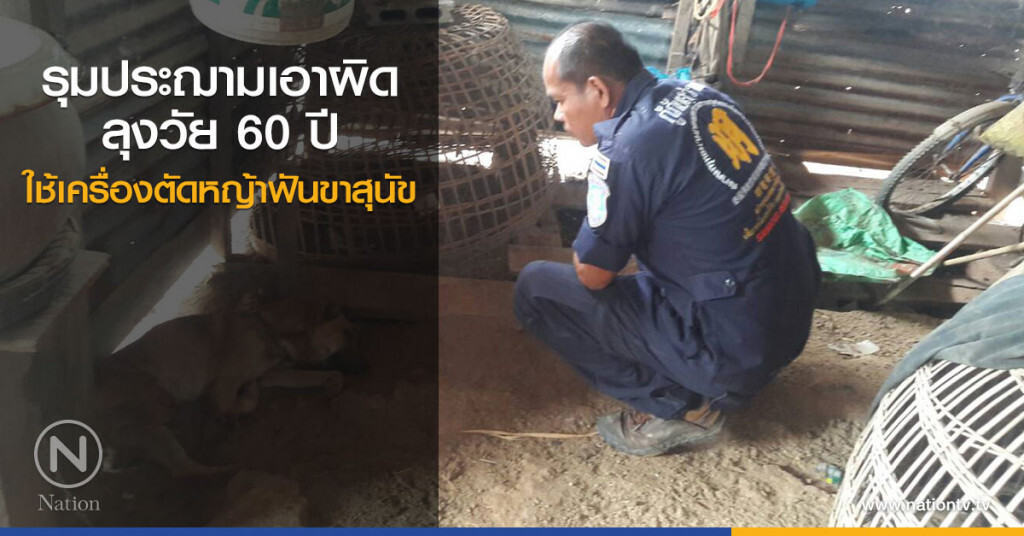 รุมประฌามเอาผิด
ลุงวัย 60 ปี
ใช้เครื่องตัดหญ้าฟันขาสุนัข รุมประฌามเอาผิด
ลุงวัย 60 ปี
ใช้เครื่องตัดหญ้าฟันขาสุนัข