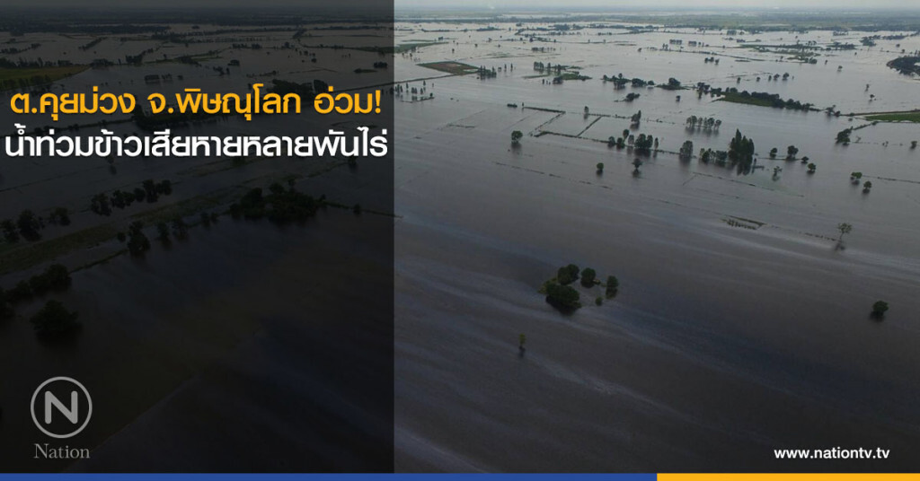 ต.คุยม่วง จ.พิษณุโลก อ่วม! น้ำท่วมข้าวเสียหายหลายพันไร่ ต.คุยม่วง จ.พิษณุโลก อ่วม! น้ำท่วมข้าวเสียหายหลายพันไร่