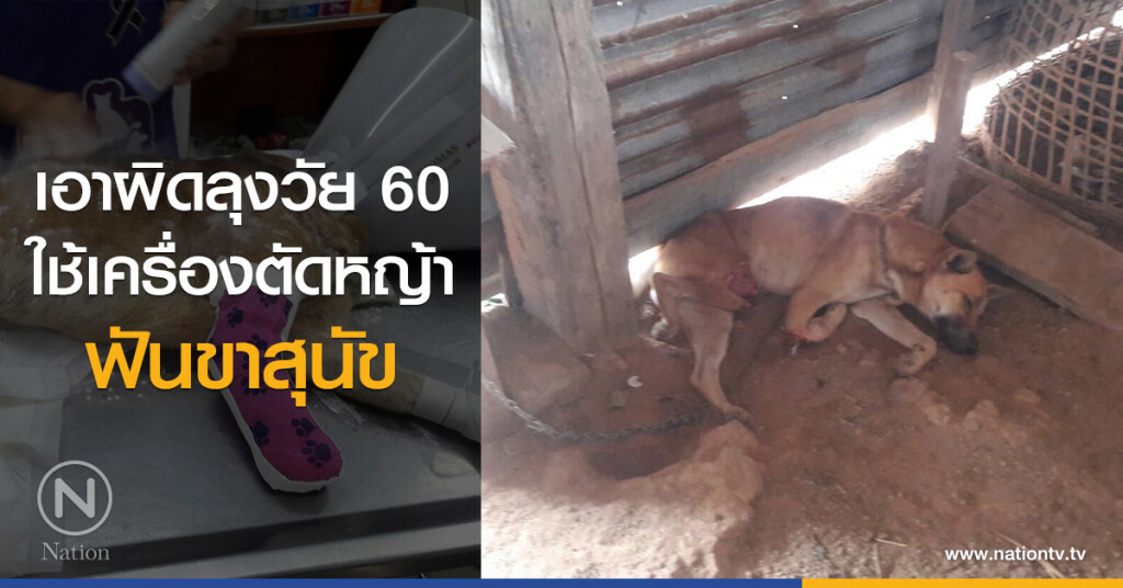เอาผิดลุงวัย 60
ใช้เครื่องตัดหญ้า
ฟันขาสุนัข