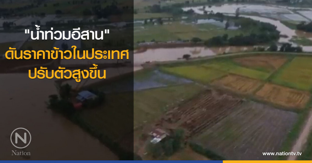 "น้ำท่วมอีสาน" ดันราคาข้าวในประเทศปรับตัวสูงขึ้น