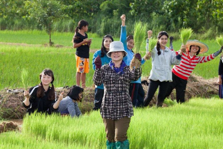 ข้าวฮางงอกยั่งยืนด้วยสองมือหลานย่า