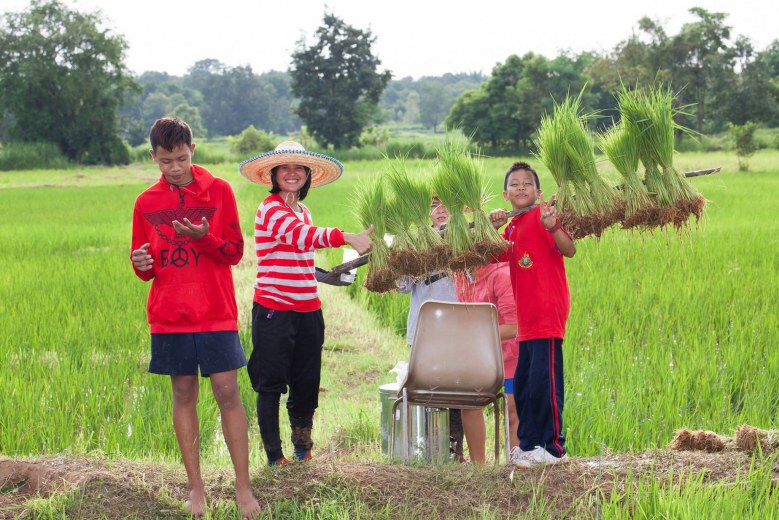 ข้าวฮางงอกยั่งยืนด้วยสองมือหลานย่า