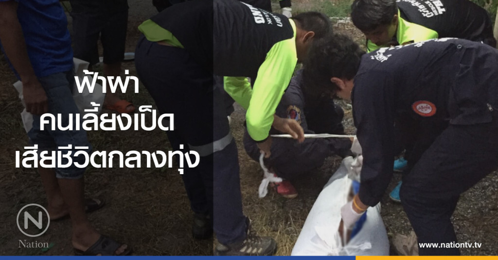 ฟ้าผ่า
คนเลี้ยงเป็ด
เสียชีวิตกลางทุ่ง