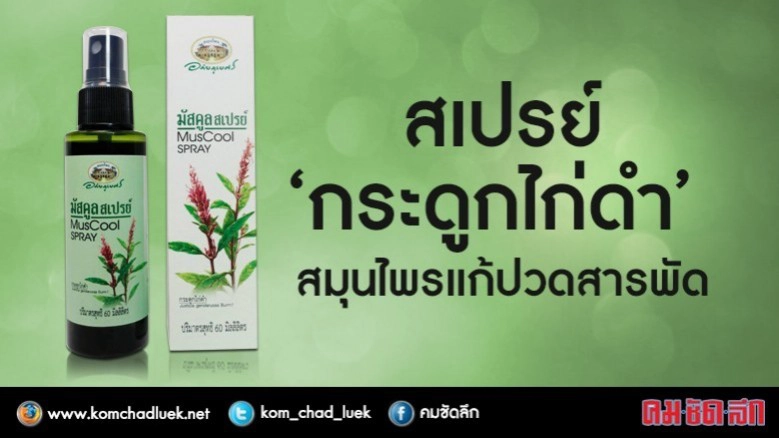 สเปรย์“กระดูกไก่ดำ”แก้ปวด ลดอักเสบ อภัยภูเบศรทำแห่งแรกในโลก สเปรย์“กระดูกไก่ดำ”แก้ปวด ลดอักเสบ อภัยภูเบศรทำแห่งแรกในโลก