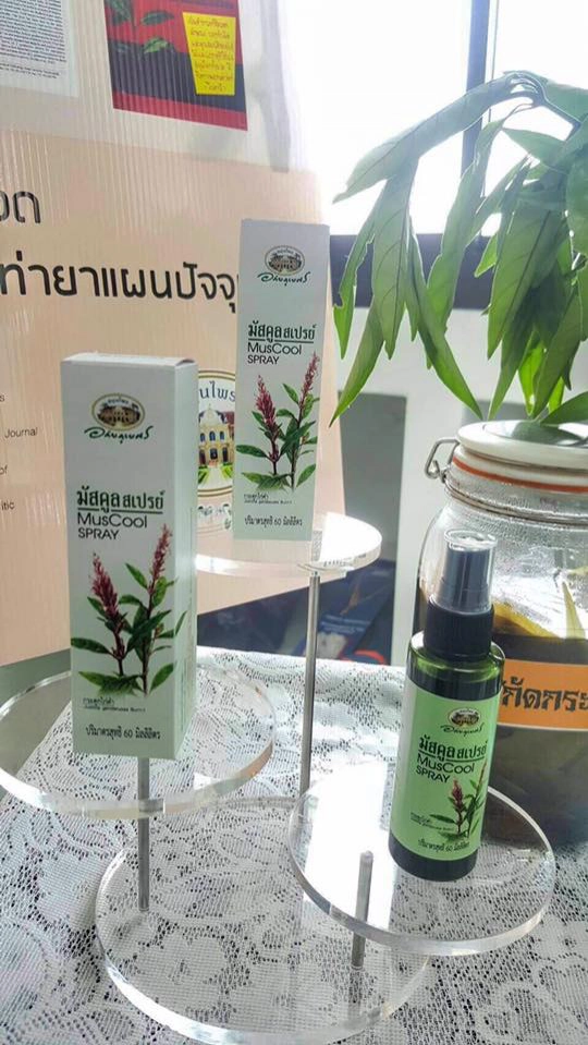 สเปรย์“กระดูกไก่ดำ”แก้ปวด ลดอักเสบ อภัยภูเบศรทำแห่งแรกในโลก