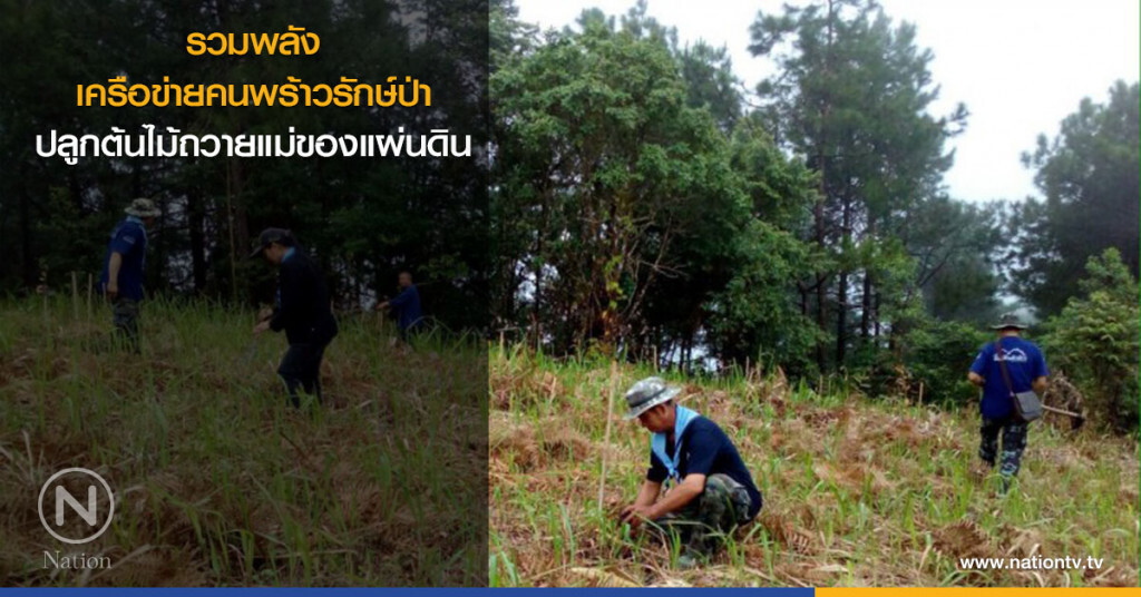 รวมพลังเครือข่ายคนพร้าวรักษ์ป่า ปลูกต้นไม้ถวายแม่ของแผ่นดิน