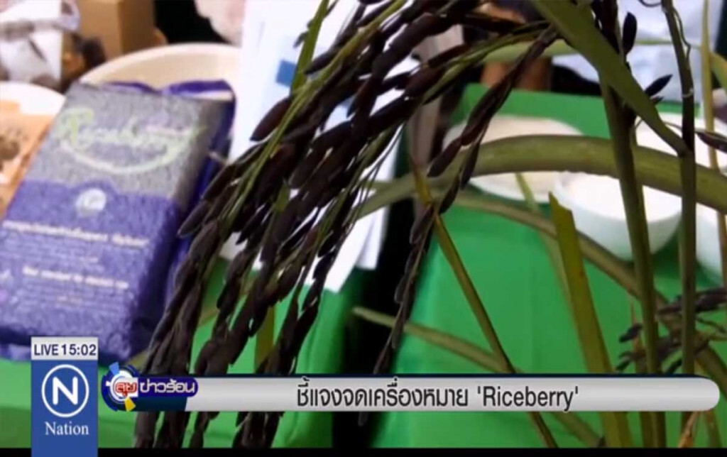ชี้แจงจดเครื่องหมาย "Riceberry" ชี้แจงจดเครื่องหมาย "Riceberry"
