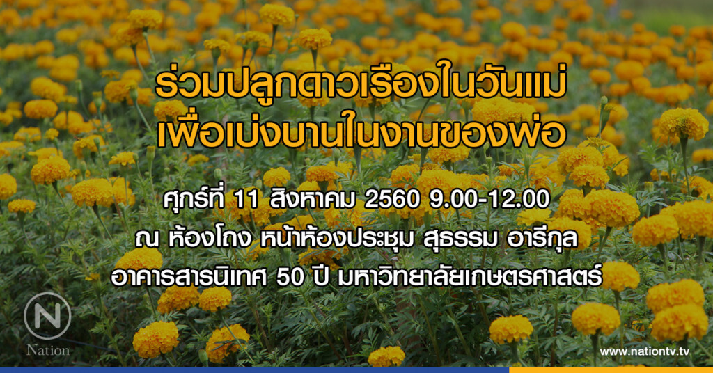 ปลูกดาวเรืองในวันแม่ เพื่อเบ่งบานในงานของพ่อ ปลูกดาวเรืองในวันแม่ เพื่อเบ่งบานในงานของพ่อ