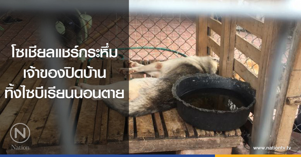 โซเชียลแชร์กระหึ่ม
เจ้าของปิดบ้าน
ทิ้งไซบีเรียนนอนตาย โซเชียลแชร์กระหึ่ม
เจ้าของปิดบ้าน
ทิ้งไซบีเรียนนอนตาย