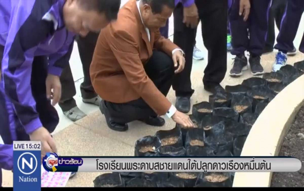 ร.ร.พระดาบสชายแดนใต้ ปลูกดาวเรืองหมื่นต้น ร.ร.พระดาบสชายแดนใต้ ปลูกดาวเรืองหมื่นต้น