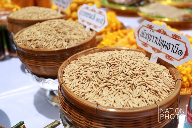 (ภาพชุด)พิธีบวงสรวงการจัดภูมิสถาปัตยกรรมแปลงนาข้าว ประกอบพระเมรุมาศในหลวงร.9