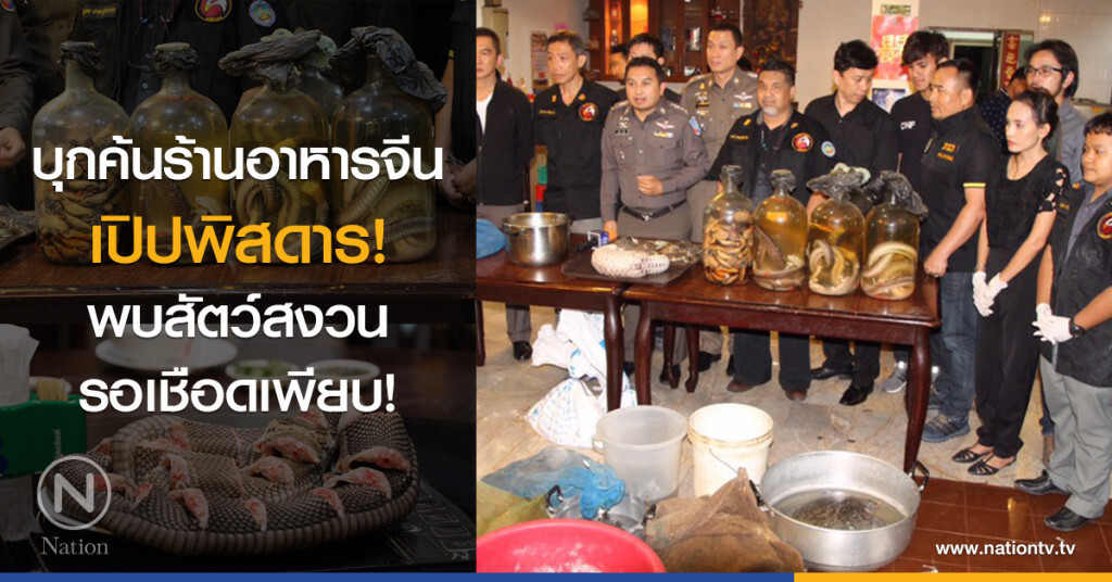 บุกค้นร้านอาหารจีน
เปิปพิสดาร!
พบสัตว์สงวนรอเชือดเพียบ!