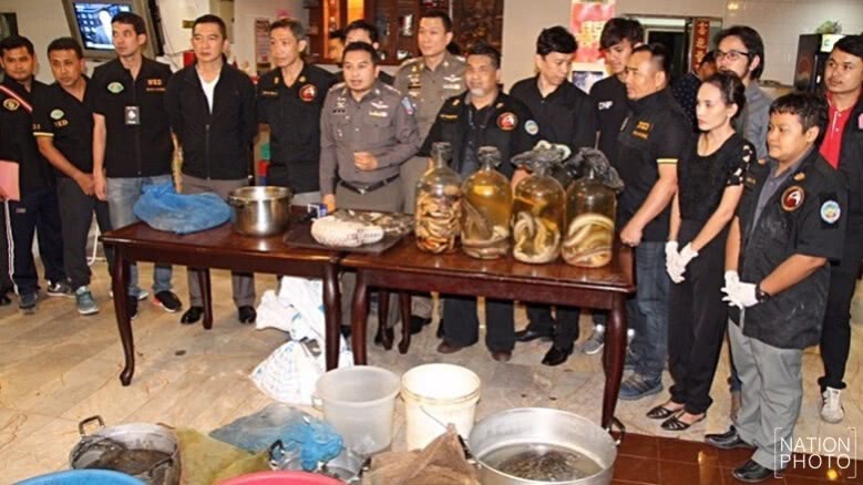ค้นร้านอาหารจีนพบสัตว์สงวนอื้อ! ค้นร้านอาหารจีนพบสัตว์สงวนอื้อ!