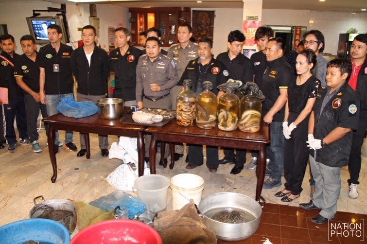 ค้นร้านอาหารจีนพบสัตว์สงวนอื้อ!