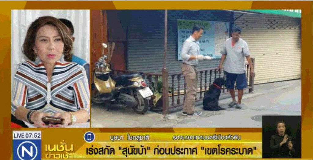 เร่งสกัด "สุนัขบ้า" ก่อนประกาศเขตโรคระบาด เร่งสกัด "สุนัขบ้า" ก่อนประกาศเขตโรคระบาด
