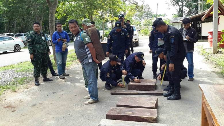 บุกจับไม้พะยูงคาบ้านพักเตรียมส่งออกเขมร