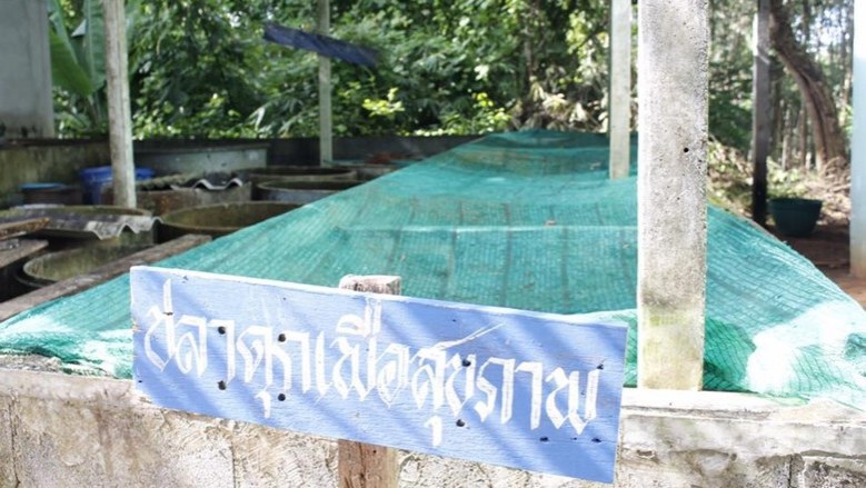"ร.ร.บ้านกุยเหนือ" เด็กอิ่มท้อง สมองแล่น 