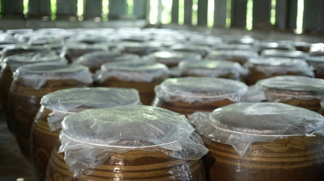 ปลาร้าเข้มข้นออนไลน์