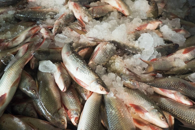 ปลาร้าเข้มข้นออนไลน์