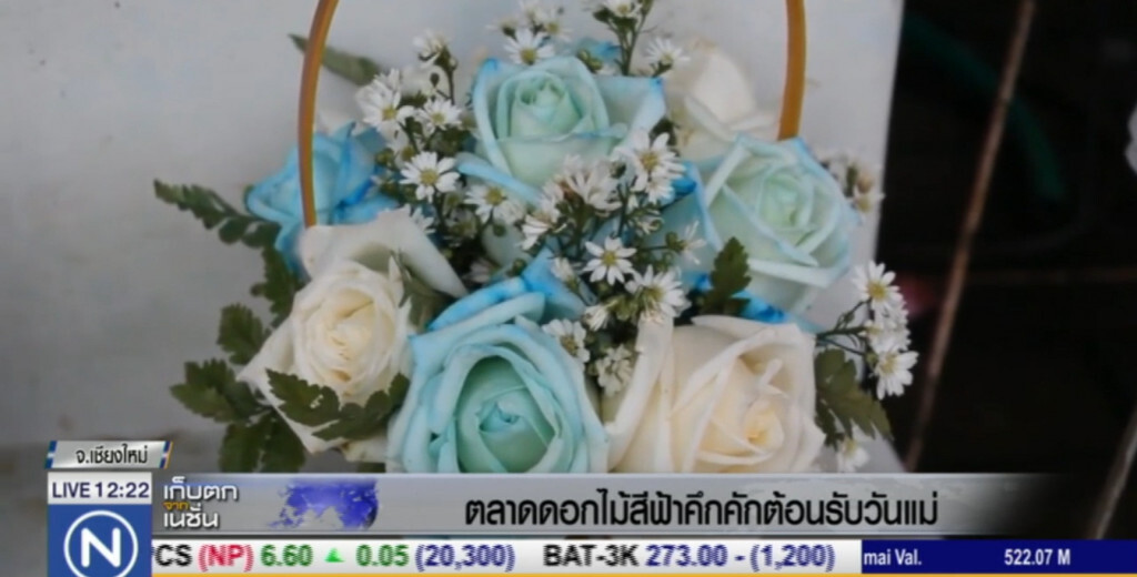 ดอกไม้สดสีฟ้า คึกคักต้อนรับวันแม่ ดอกไม้สดสีฟ้า คึกคักต้อนรับวันแม่