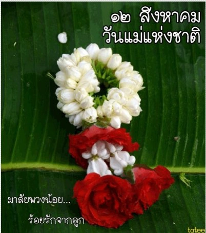 วันแม่แห่งชาติ 12 สิงหาคม2560 