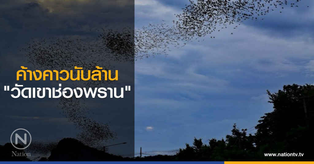 ค้างคาวนับล้าน "วัดเขาช่องพราน" ค้างคาวนับล้าน "วัดเขาช่องพราน"