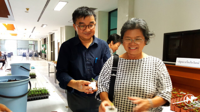 เทคนิค! ปลูกดาวเรืองในวันแม่เพื่อเบ่งบานในงานของพ่อ