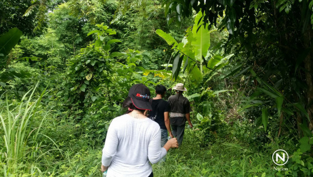 "น้ำตกไอหมอก" ความงามที่ถูกซ่อนตัวอยู่กลางหุบเขาบ้านรักไทย