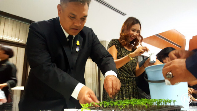 เทคนิค! ปลูกดาวเรืองในวันแม่เพื่อเบ่งบานในงานของพ่อ