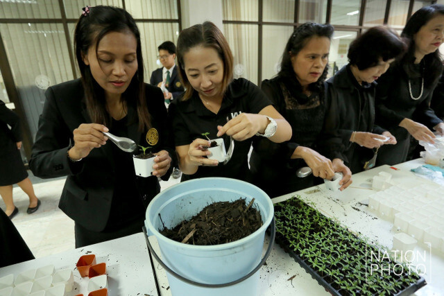 ปลูกดาวเรืองในวันแม่ เพื่อเบ่งบานในงานของพ่อ