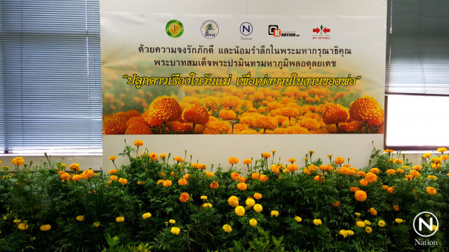 เทคนิค! ปลูกดาวเรืองในวันแม่เพื่อเบ่งบานในงานของพ่อ