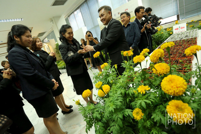 ปลูกดาวเรืองในวันแม่ เพื่อเบ่งบานในงานของพ่อ