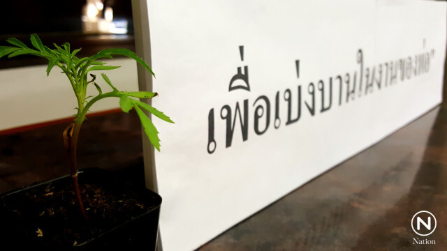 เทคนิค! ปลูกดาวเรืองในวันแม่เพื่อเบ่งบานในงานของพ่อ
