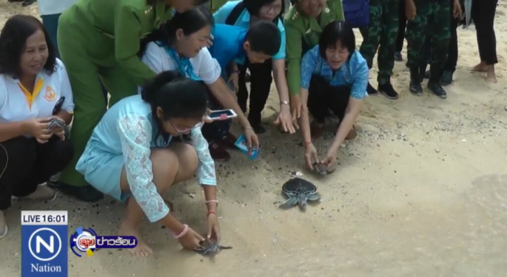 ทัพเรือภาค 3 ปล่อยเต่าทะเล 86 ตัว เพื่อเฉลิมพระเกียรติพระราชินี ทัพเรือภาค 3 ปล่อยเต่าทะเล 86 ตัว เพื่อเฉลิมพระเกียรติพระราชินี