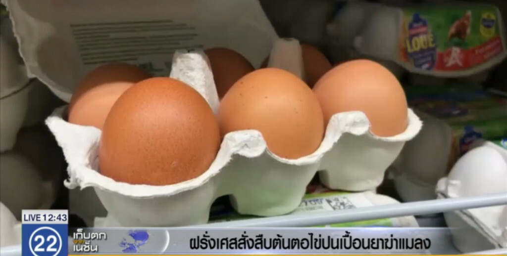 ฝรั่งเศส สั่งสืบต้นตอไข่ปนเปื้อนยาฆ่าแมลง หลังกินแล้วไปราว 2 แสนฟอง ฝรั่งเศส สั่งสืบต้นตอไข่ปนเปื้อนยาฆ่าแมลง หลังกินแล้วไปราว 2 แสนฟอง