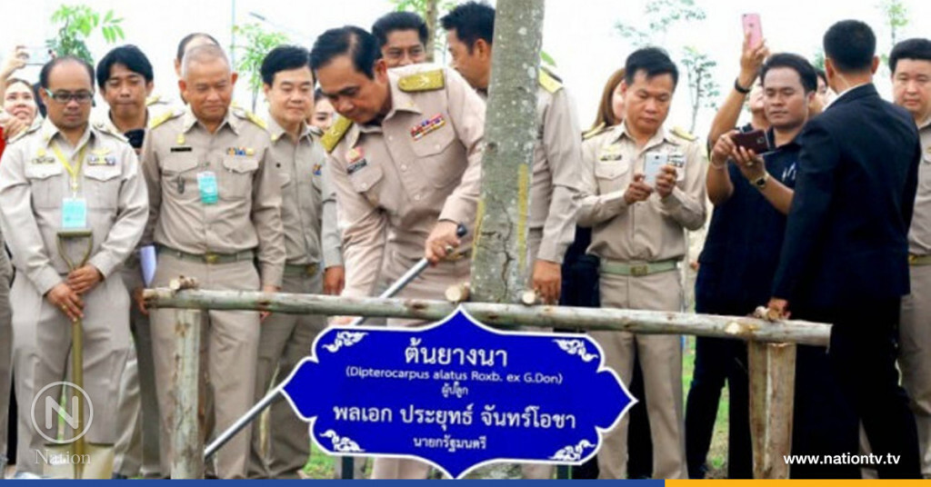 นำร่องที่อยุธยา โครงการ "ประชารัฐร่วมใจปลูกต้นไม้ให้แผ่นดิน"