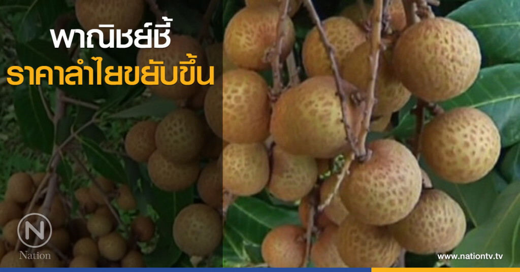 พาณิชย์ชี้ ราคาลำไยขยับขึ้น พาณิชย์ชี้ ราคาลำไยขยับขึ้น