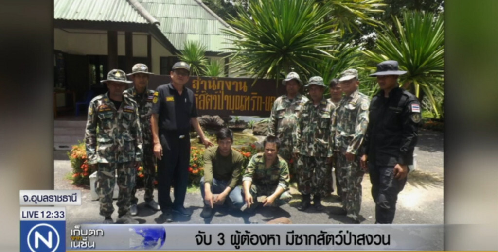 จับ 3 ผู้ต้องหามีซากสัตว์ป่าสงวน จับ 3 ผู้ต้องหามีซากสัตว์ป่าสงวน