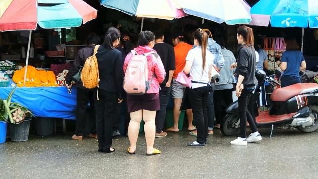 ดอกมะลิ ในเชียงราย ราคาพุ่ง กก.ละ 1,800 บาท