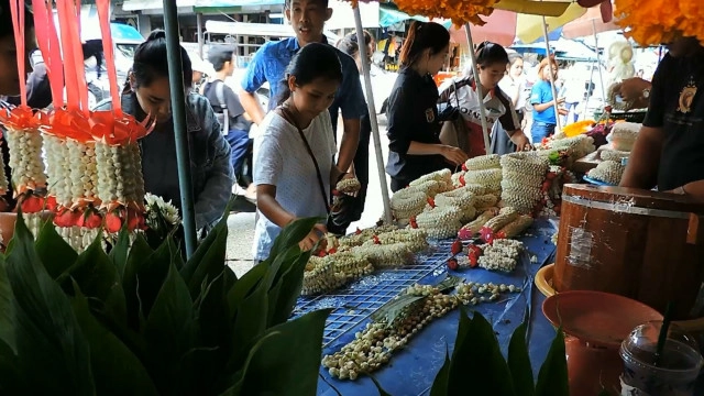 ดอกมะลิ ในเชียงราย ราคาพุ่ง กก.ละ 1,800 บาท