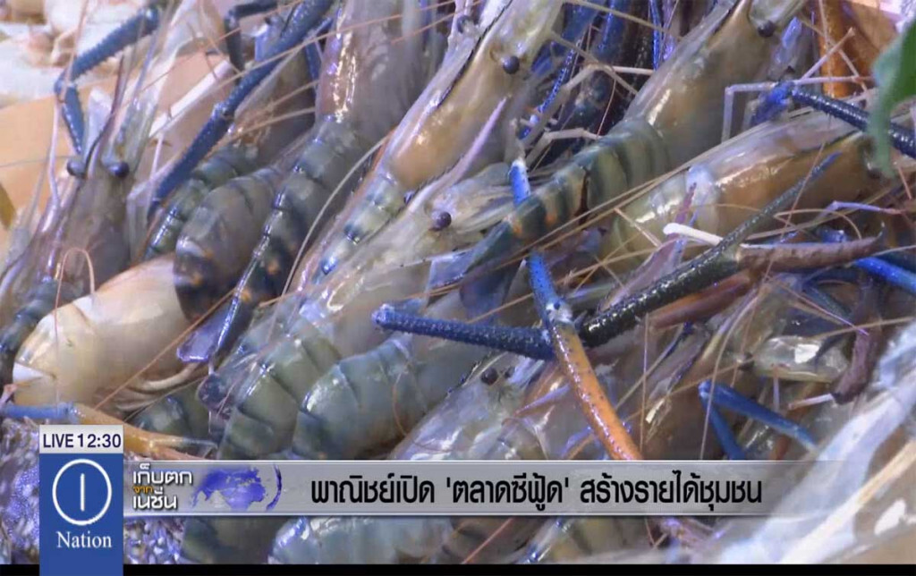 พาณิชย์เปิด "ตลาดซีฟู้ด" สร้างรายได้ชุมชน พาณิชย์เปิด "ตลาดซีฟู้ด" สร้างรายได้ชุมชน
